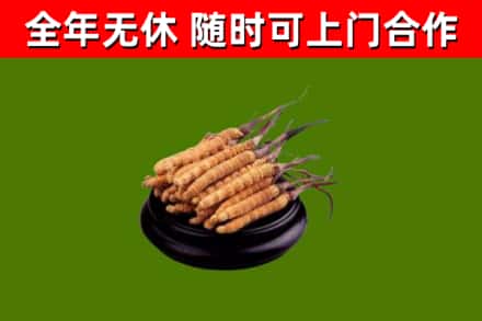 南岸区烟酒回收冬虫夏草.jpg